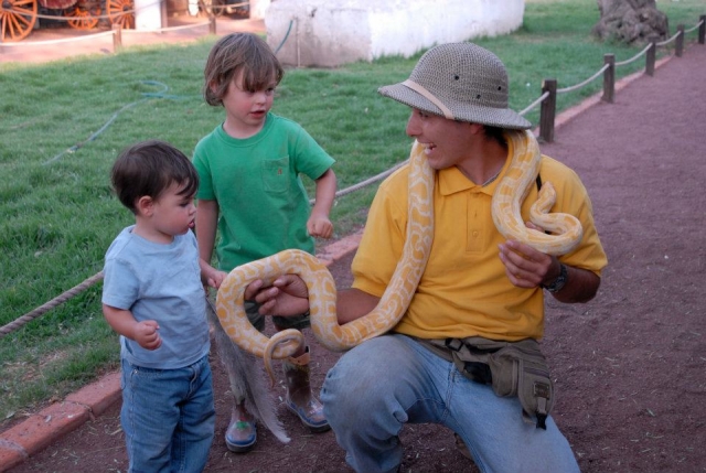  Touching the snake 